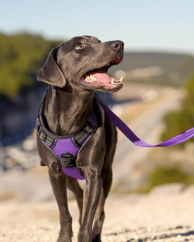 Joytale No Pull Dog Harness for Extra Large Dogs, Reflective Pet Vest with Front Clip, Adjustable Soft Padded Harnesses with Easy Control Handle for Training and Walking, Purple, XL