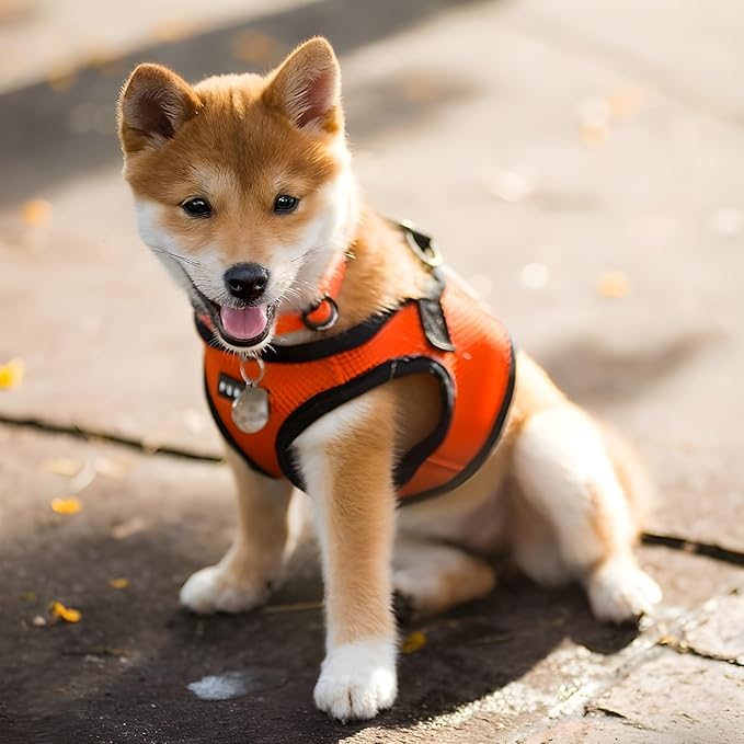 PUPPIA International Harness Soft B Vest, Medium, Orange