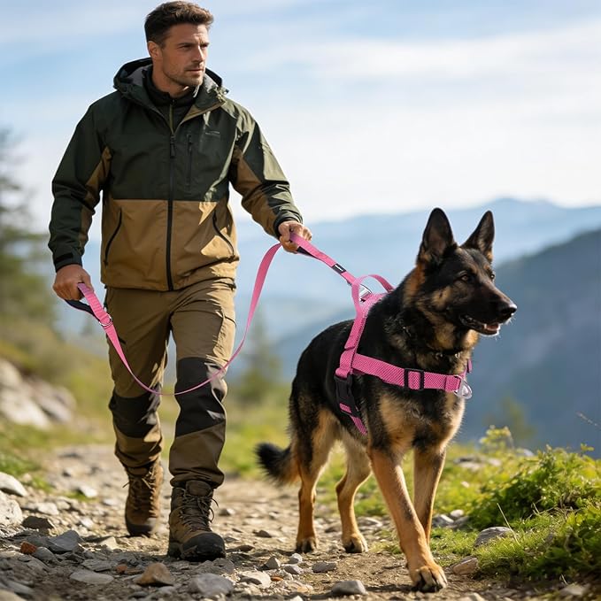 Annchwool No Pull Dog Harness with Front Clip and Easy Control Handle-Belly & Chest Adjustable Dog Harness and Leash Set for Medium Large Dogs-Heavy Duty Vest Harnesses Easy for Walking(Pink,M)