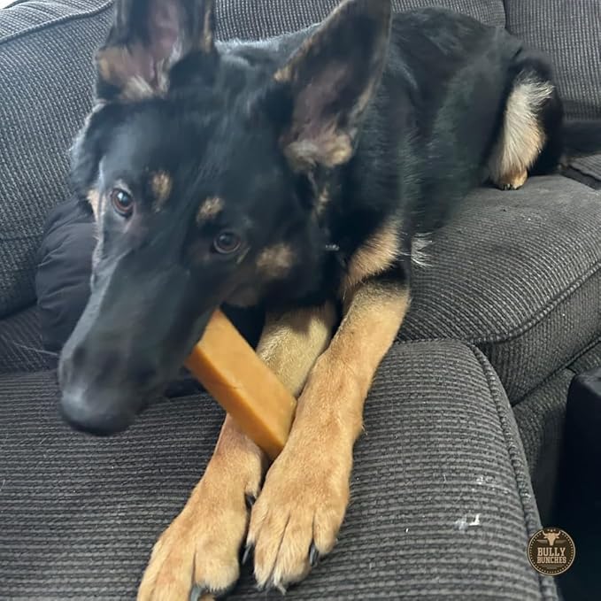 Bully Bunches Extra Large Authentic Yak Cheese Himalayan Chews for Large Dogs & Aggressive Chewers - All Natural Dog Treat Dental Chews, Made with Real Yak Milk - Lactose & Rawhide Free (6 PK)