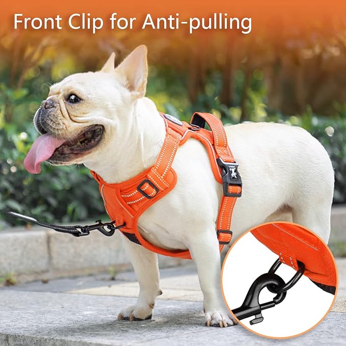 PoyPet No Pull Dog Harness, No Choke Reflective Dog Vest, Adjustable Pet Harnesses with Easy Control Padded Handle for Small Medium Large Dogs(Orange Matching Trim,XS)