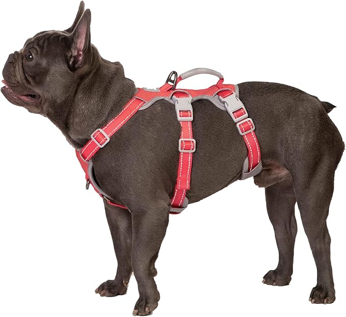 Huntboo Escape Proof Dog Harness, Secure Dog Harness No Escape, Fully Reflective Harness with Handle, Breathable, Durable, Adjustable Vest for Medium Dogs Walking,and Running Gear (Red,M)