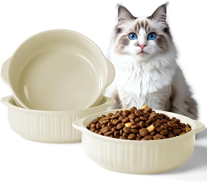 Cat Food Bowl with Handle, 6 inch Ceramic Cat Food and Water Feeder Set, Modern Vertical Texture Design, Kitten Bowls for Indoor Cats and Small Dogs, Microwave Dishwasher Safe, Beige- 2 Pack