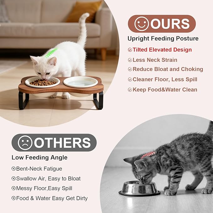 SPUNKYJUNKY Ceramic Elevated Tilted Dog Bowls Bone-Shaped Raised with 2 Height Iron Stand, 4.9'' Dog and Cat Food Water Bowls Set Non-Slip for Puppy Kitten Small Sized Breed - 7 OZ,Beige