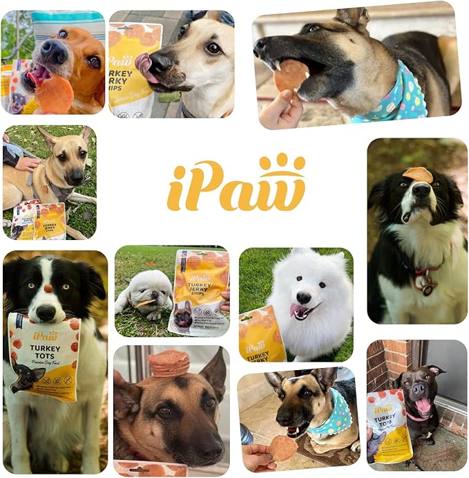 iPaw 5 Stock-Up Combo Chicken Chips Dog Treats for Puppy Training, All Natural Human Grade Dog Treat, Hypoallergenic, Easy to Digest (Chicken Chips), 5 Packs