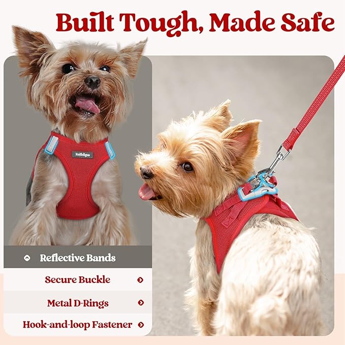rabbitgoo Dog Harness Small Sized and Leash Set, Step in Soft Light Puppy Vest, Breathable Mesh Pet Harness, Reflective for Safe Easy Walking, Red XXS