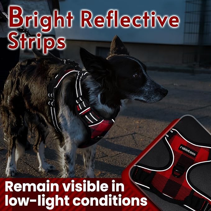 rabbitgoo Dog Harness No Pull with 2 Leash Clips, Adjustable Soft Padded, Reflective Oxford No Choke Pet Vest with Easy Control Handle for Large Dogs, Red Plaid, XL