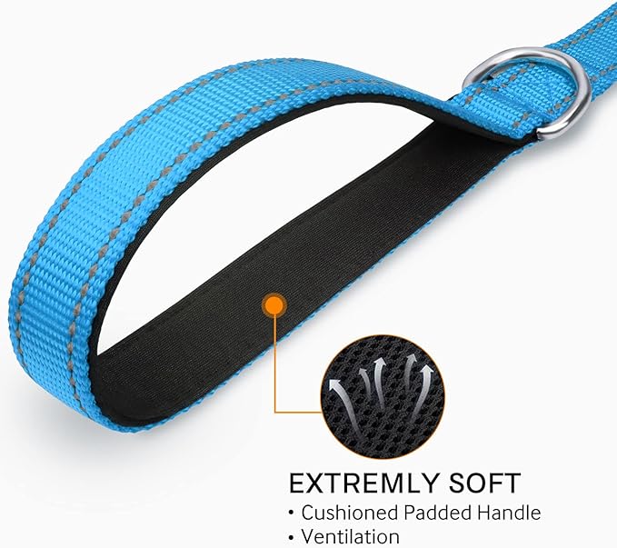 Joytale Dog Leash Heavy Duty for Small Medium Dogs, 5 FT Reflective Nylon Pet Walking Lead with Soft Padded Handle, Durable & Tangle Free for Training, Running & Safety Control, Sky Blue