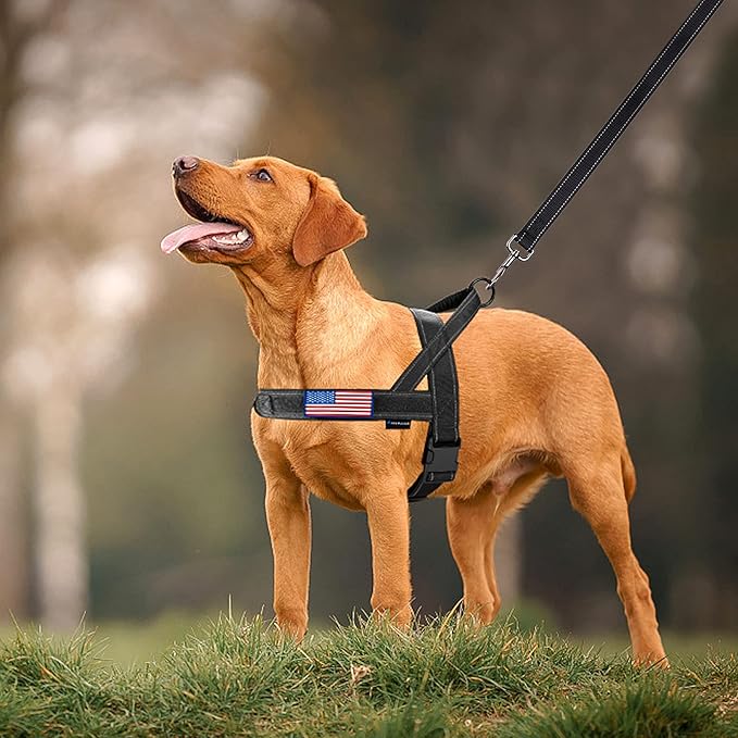 Annchwool No Pull Dog Harness with Soft Padded Handle-Reflective Strip Escape Proof and Quick Fit to Adjust Dog Harness-Easy for Training Walking for Small & Medium and Large Dogs(Black,XS,1 In Width)