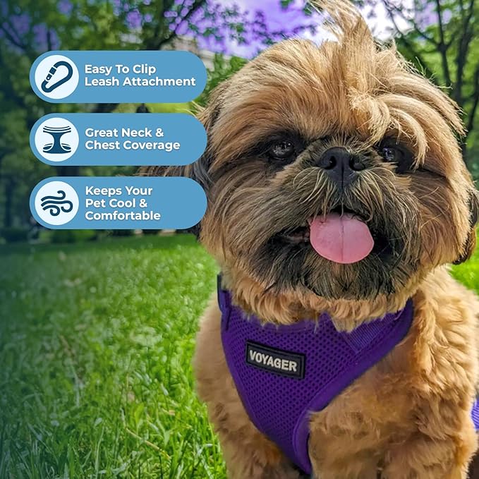 Voyager Step-in Pet Harness - All Weather Mesh, Adjustable Step in Harness for Cats and Dogs by Best Pet Supplies - Purple, XL