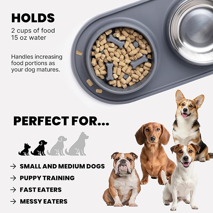 MalsiPree 2-in-1 Puppy Slow Feeder & Water Bowl Set - Essential Dog Gift for Small & Medium Pups - Silicone Feeding Mat & Stainless Steel Bowls, Travel-Ready Training Station for Fast Eaters - Gray