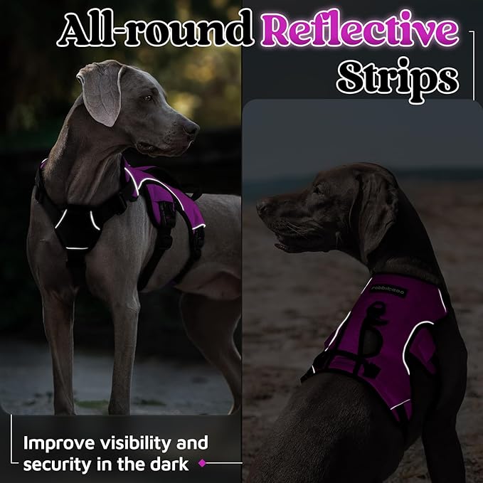 rabbitgoo Escape Proof Dog Harness, Soft Padded Full Body Pet Harness, Reflective Adjustable No Pull Vest with Lift Handle and Lesh Clip for Large Dogs Walking Hiking Training, L, Purple