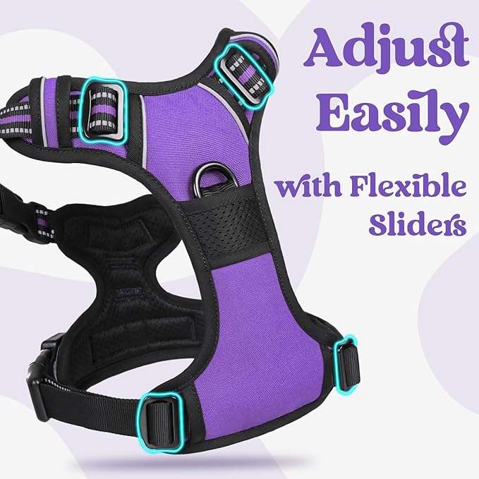 rabbitgoo Dog Harness Small Sized, No Pull Pet Harness with 3 Buckles, Adjustable Soft Padded Vest with Control Handle, Walking Reflective Pet Vest for Small Dogs, Purple, S