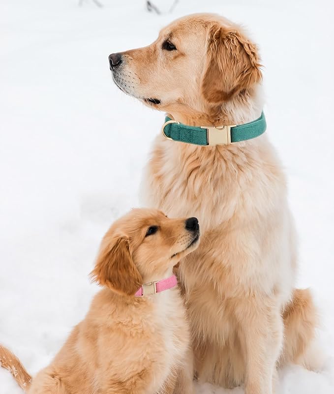 Soft Corduroy Fibric Dog Collar with High Grade Metal Buckle, for Large Dogs.(Green,Large:17-26")