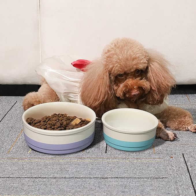 Sweejar Ceramic Dog Bowls, Dog Food Dish for Small Dogs and Cat, Heavy Duty Porcelain Pet Bowl for Canned Food and Water 17 Fl Oz （Purple）
