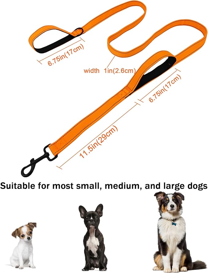 Solmoony 6FT Orange Strong Dog Leash with 2 Padded Handles, Traffic Handle Extra Control, Double-Sided Reflective Walking Lead for Small Medium and Large Dog (Orange, 6FT)