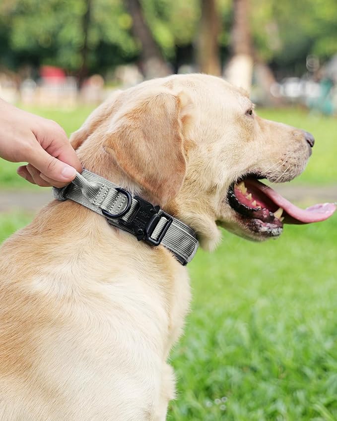 Joytale Tactical Dog Collar with Handle, Adjustable Heavy Duty Military Collar with 2 Patches for Training, Suitable for Medium Dogs, Gray, M
