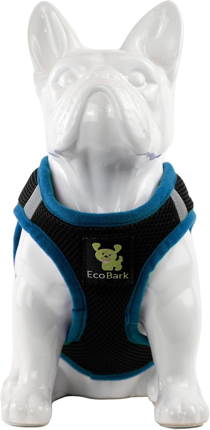 EcoBark Step in Dog Harness - Eco-Friendly Teacup Dog Harnesses for XXS, XS, and Small Dogs - Reflective and Adjustable Mini Body Halter Vest -Tiny Soft Mesh Toy Breed Harness (Black and Teal, XXS)