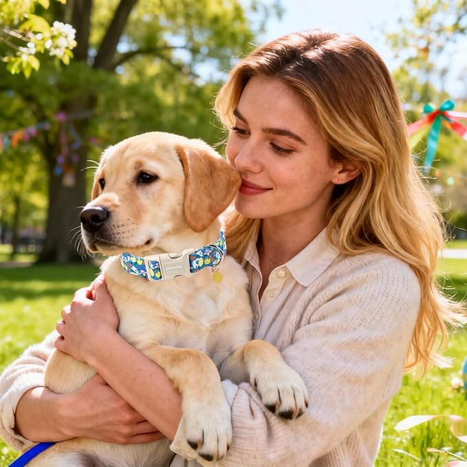 DOGWONG Easter Dog Collar-Cute Green Easter Bunny Dog Collar, Easter Egg Collars Puppy Collar Gifts with Quick Release Buckle for Girl&Boy Dogs,M
