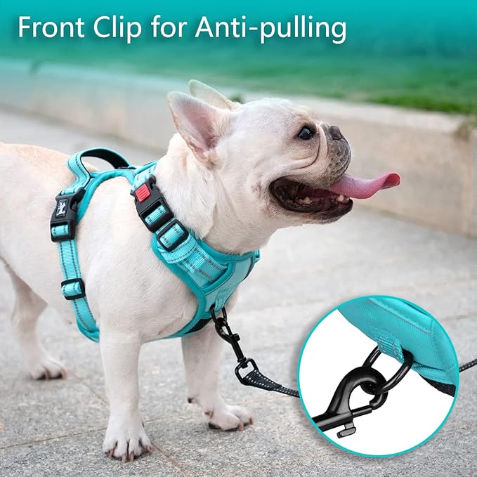 PoyPet No Pull Dog Harness, No Choke Reflective Dog Vest, Adjustable Pet Harnesses with Easy Control Padded Handle for Small Medium Large Dogs(Mint Blue Matching Trim,S)