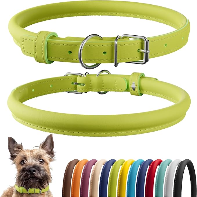 CollarDirect Rolled Leather Dog Collar, Soft Padded Round Puppy Collar, Handmade Genuine Leather Collar Dog Small Large Cat Collars 13 Colors (6 Inch, Lime Green Smooth)