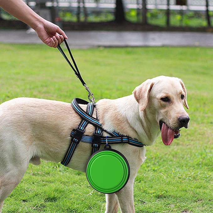 2 Pack Collapsible Dog Bowl Travel Portable Pet Bowls [34oz,1000ml],Expandable Foldable Food Water Feeding Dishes for Traveling Hiking Walking,with Carabiners [Black,Green]