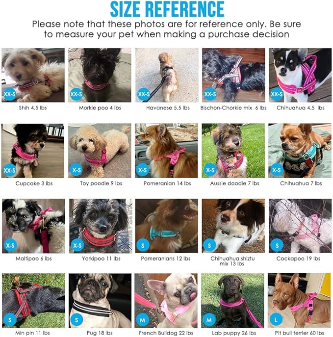 Lukovee No Pull Dog Harness and Leash Set, Soft Padded Small Dog Harness, Neck & Chest Adjustable Reflective Vest Puppy Harness with 4ft Lightweight Anti-Twist Dog Leash for Small Dogs (Purple, L)