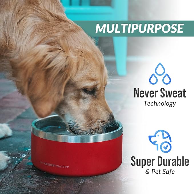 Coldest Dog Bowl - Anti Rust Metal, Non Slip, 3 Layers Insulated Stainless Steel Dog Bowls - Spill Proof & Heavy Duty - Water Bowl for Dogs, Cats & Pets, Dish Washer Safe (42 oz, Stardust Glitter)