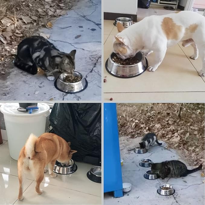 Fhiny 4PCS Stainless Steel Cat Bowls, Non-Slip Cats Water Dish with Rubber Base Stackable Pet Feeding Bowl Durable Multifunctional Replacement Whisker Fatigue Relief Plate for Kitten Puppy Small Dog