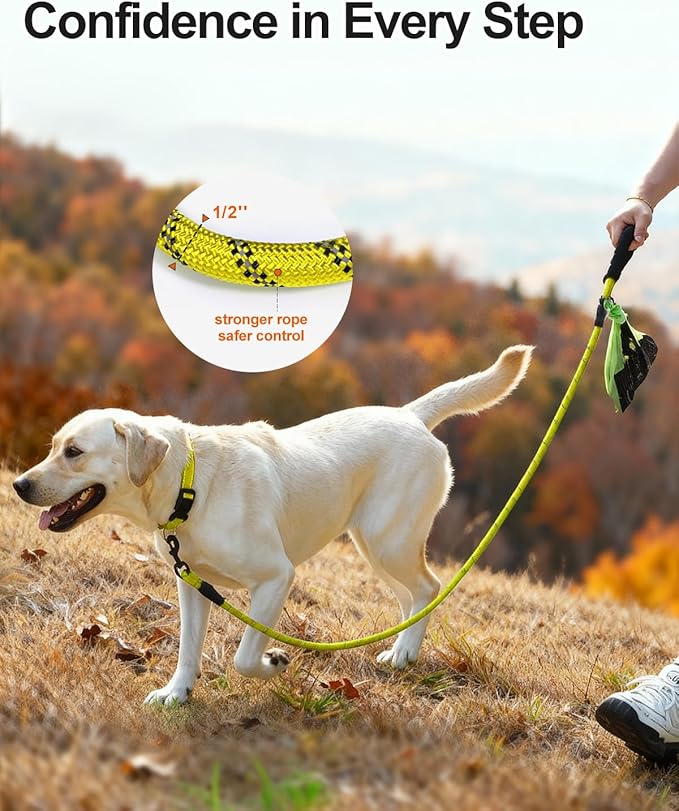 Joytale Dog Leash for Large Dogs, Heavy Duty Nylon Leashes with Comfortable Padded Handle and Highly Reflective Threads, Ideal for Walking and Training, Yellow, 6'횞1/2''