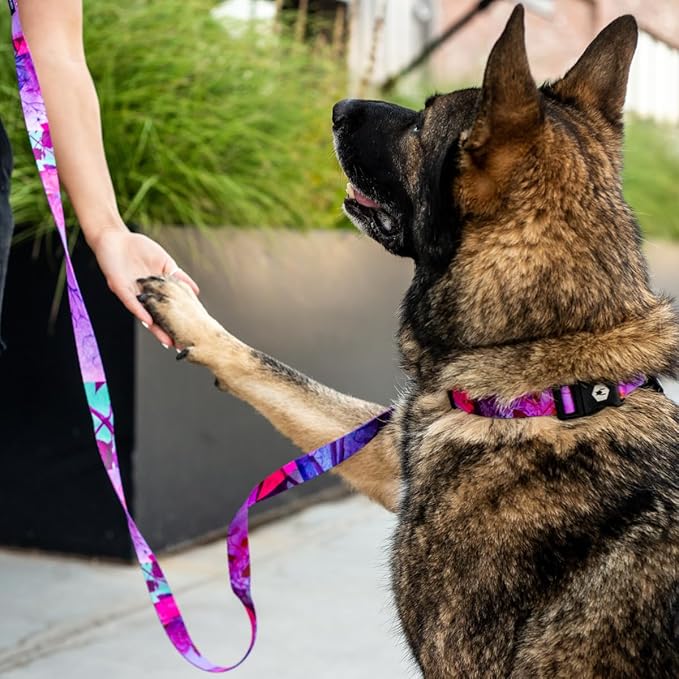 Wolfgang Heavy Duty, Adjustable Dog Collar with Quick Release Nylon Buckle for Walking & Training, Daydream Print, Small