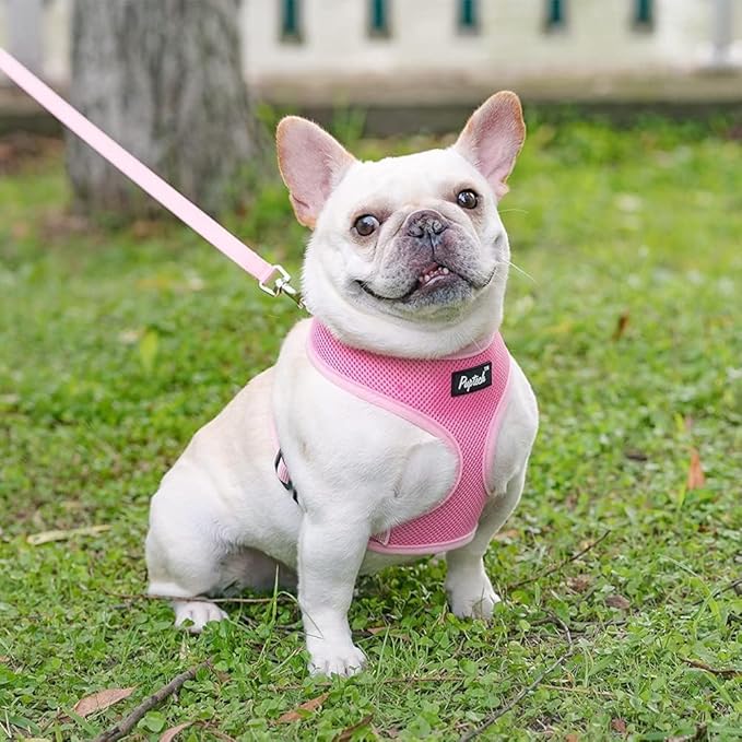 PUPTECK Soft Mesh Dog Harness and Leash Set Pet Puppy Cat Comfort Padded Vest No Pull Harnesses, Solid Pink, L