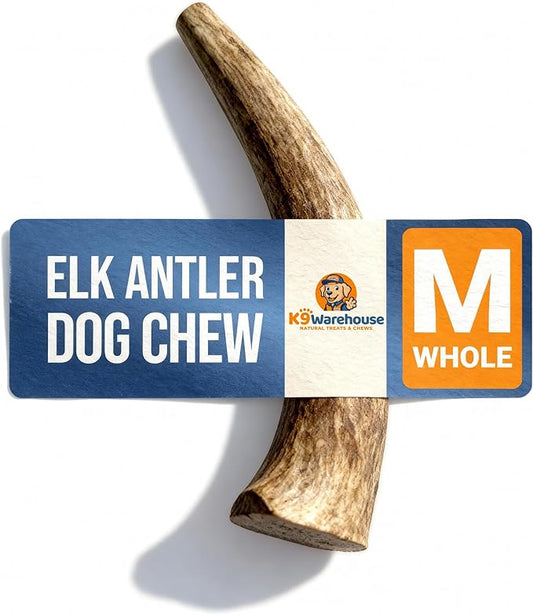 K9warehouse Natural Elk Antlers for Dogs - Premium Grade Dog Antler Chews - Long-Lasting Whole Deer Antles Ideal for Aggressive Chewers - Safe USA Sourced Chew for Medium and Large Dogs - 1 Pack