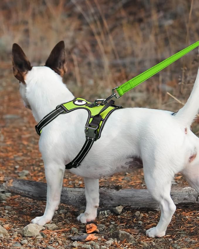 Joytale Dog Leash Heavy Duty for Large Medium Dogs, 4 FT Reflective Nylon Pet Walking Lead with Soft Padded Handle, Durable & Tangle Free for Training, Running & Safety Control, Green