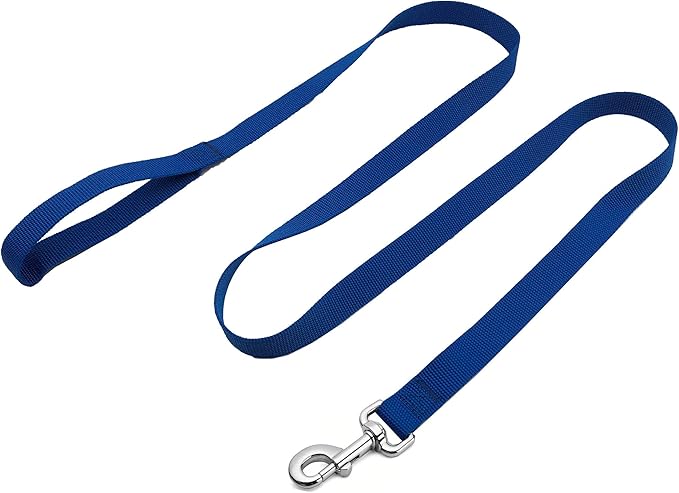 Strong Nylon Dog Leash, 4FT/ 5 FT/ 6FT Dog Leashes for Medium Large Dogs(4 FT, Blue)