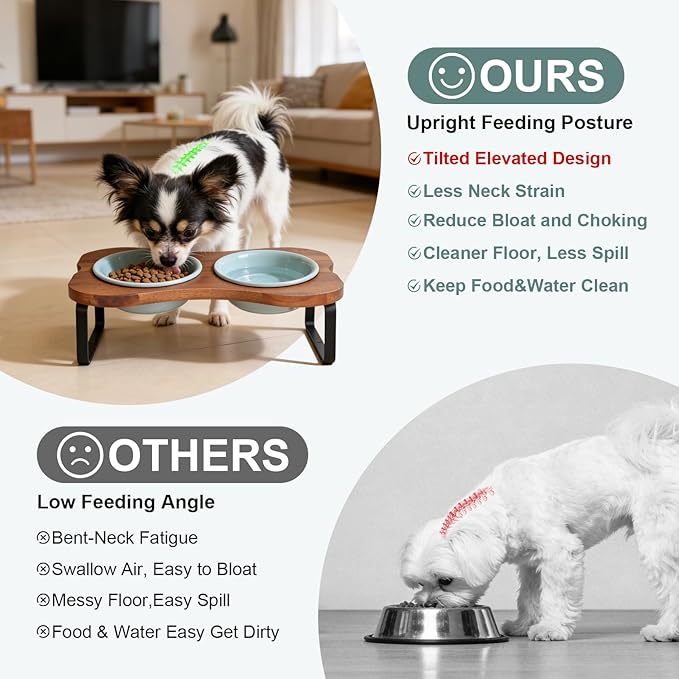 SPUNKYJUNKY Ceramic Elevated Tilted Dog Bowls Bone-Shaped Raised with 2 Height Iron Stand, 5.9'' Dog and Cat Food Water Bowls Set Non-Slip for Small Sized Breed - 13.5 OZ,Light Green