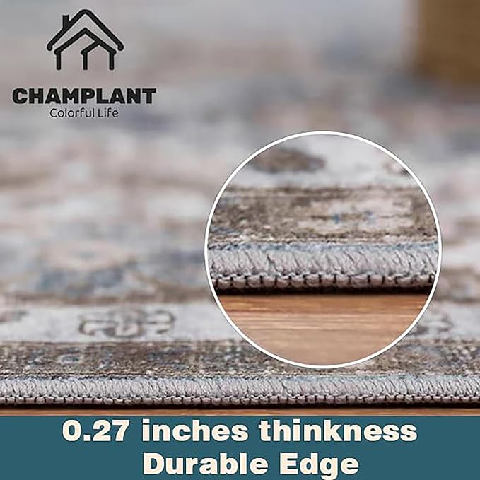 Washable Area Rug 3'x5' Vintage Traditional Floor Cover Foldable Thin Rugs Retro Kitchen Indoor Distressed Non Slip Carpet Floral Print Mat Bedroom Living Room