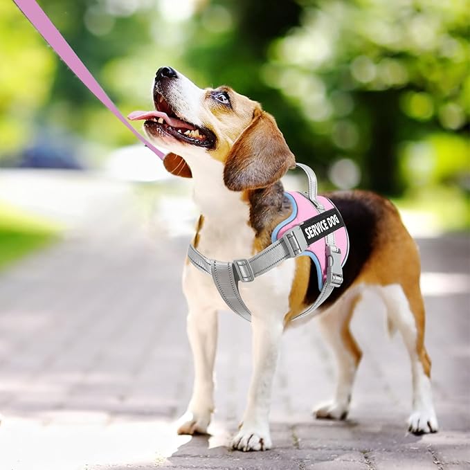 voopet Emotional Support Dog Harness, Professional Service Dog Vest Harness for Small Medium Large Dogs, Reflective Breathable and Adjustable No Pull/Choke ESA Essential Harness