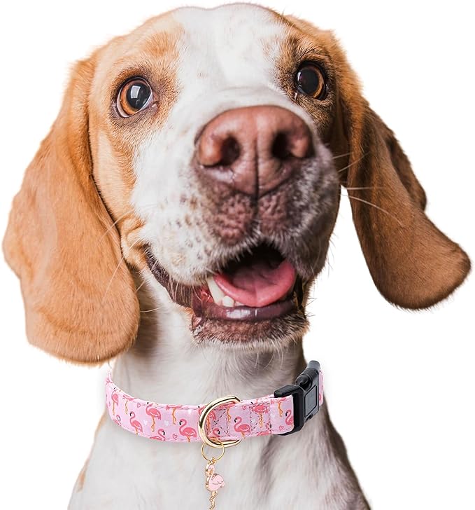 Cotton Dog Collar,Adjustable Cute Puppy Collar with Moon Patterned Design for Small Medium Large Dogs,Soft and Fancy Pet Collar with Safety Buckle for Girl Boy Dogs (Pink Flamingo, Medium)