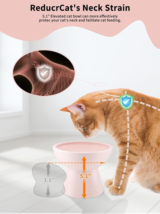 LoeJan Elevated Cat Food and Water Bowls Set, Pink - Raised Ceramic Anti-Vomit Whisker-Free Feeder for Kittens to Adult Cats