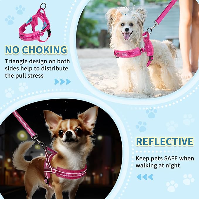 SlowTon No Pull Small Dog Harness and Leash Set, Puppy Soft Vest Harness Neck & Chest Adjustable, Reflective Lightweight Harness & Anti-Twist Pet Lead Combo for Small Medium Dogs (Fuchsia, XXS)