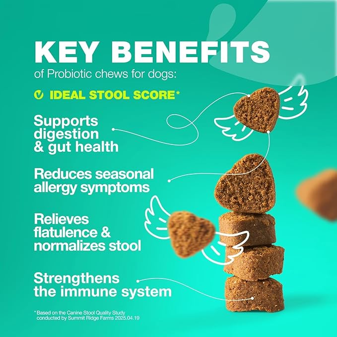 Probiotics for Dogs Gut Health, Digestion, Immunity, Yeast Balance, Itchy Skin, Allergies Support - Dog Probiotic Chews (Travel Pack) with Digestive Enzymes for Gut Flora - Pumpkin and Yeast Powder