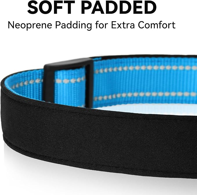 Reflective Dog Collar for Mediunm Dogs, Adjustable Collar with Soft Neoprene Padded, Durable Buckle for Daily Walking,Aqua Blue,M, 1" Width