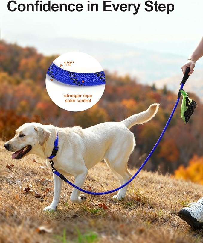 Joytale Dog Leash for Large Dogs, Heavy Duty Nylon Leashes with Comfortable Padded Handle and Highly Reflective Threads, Ideal for Walking and Training, Navyblue, 6'횞1/2''
