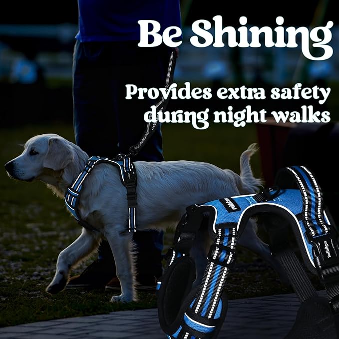 rabbitgoo Dog Harness for Large, No Pull Pet Harness with 3 Buckles, Adjustable Soft Padded Vest with Control Handle, Walking Reflective Pet Vest for Large Dogs, Sky Blue, L