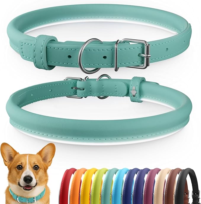 CollarDirect Rolled Leather Dog Collar, Soft Padded Round Puppy Collar, Handmade Genuine Leather Collar Dog Small Large Cat Collars 13 Colors (13-16 Inch, Mint Green Smooth)