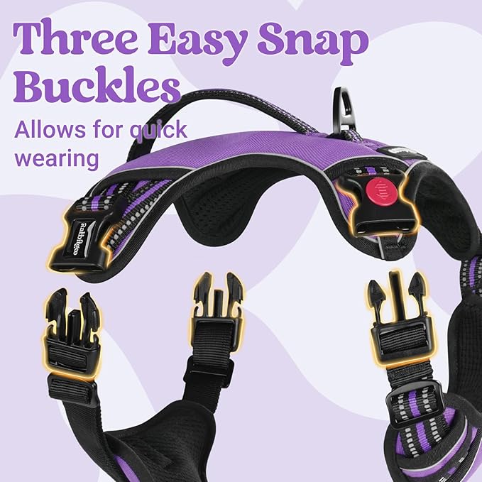 rabbitgoo Dog Harness for Large Dogs, No Pull Pet Harness with Soft Padded Handle, Adjustable Reflective Vest with 3 Buckles, Easy Walking Harness with 2 Leash Clips, Purple, L
