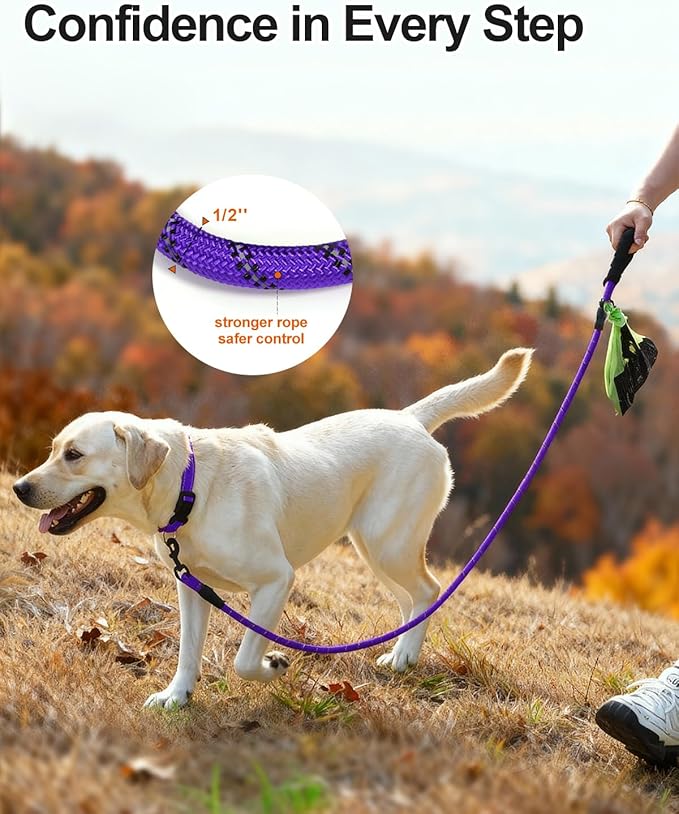 Joytale Dog Leash for Large Dogs, Heavy Duty Nylon Leashes with Comfortable Padded Handle and Highly Reflective Threads, Ideal for Walking and Training, Purple, 5'횞1/2''