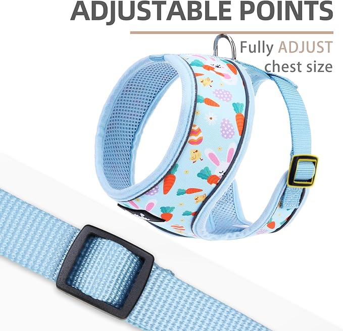 PUPTECK Soft Mesh Dog Harness and Leash Set Pet Puppy Cat Comfort Padded Vest No Pull Harnesses, Easter Blue, M