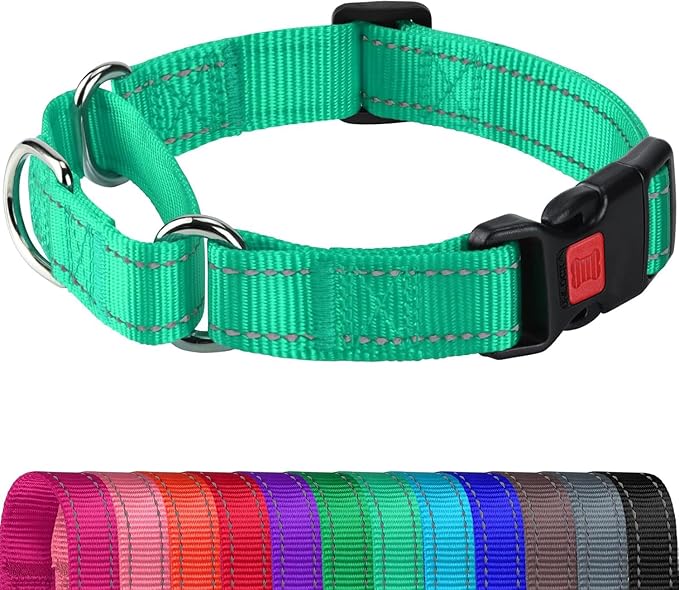 Joytale Martingale Collar for Dogs, Reflective Heavy Duty for Safety, Quick Release Buckle, Adjustable Nylon Collars for Large Dogs Walking Training, Teal,L
